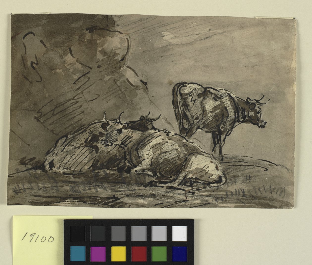 Three Cows at a Cliff by Thomas Barker