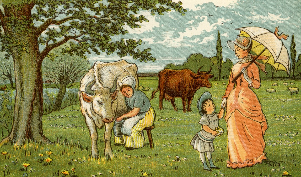 Milking Cow for Chocolate and Milk by Thomas Crane