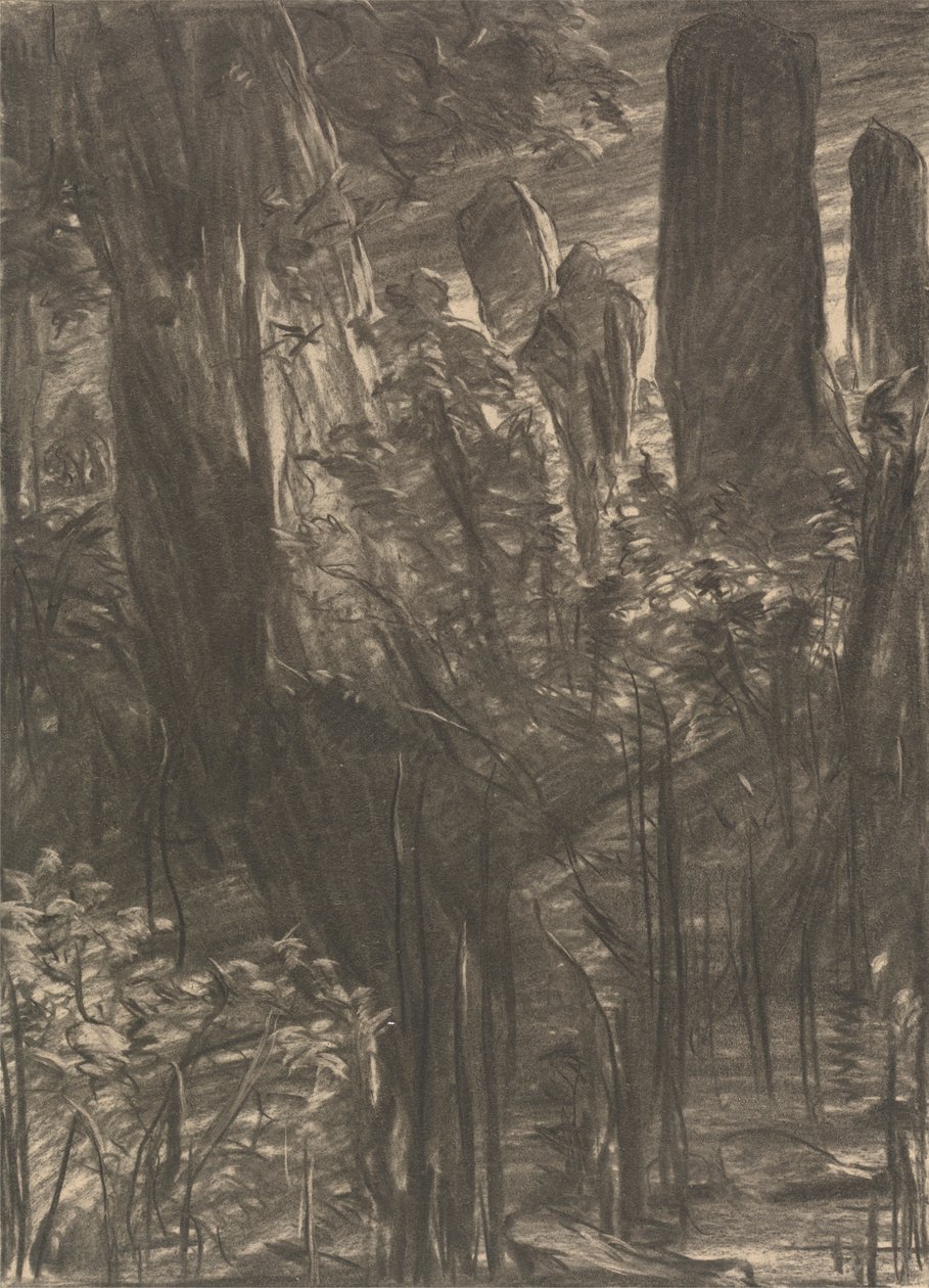 A Grove of Trees by Thomas Dalziel