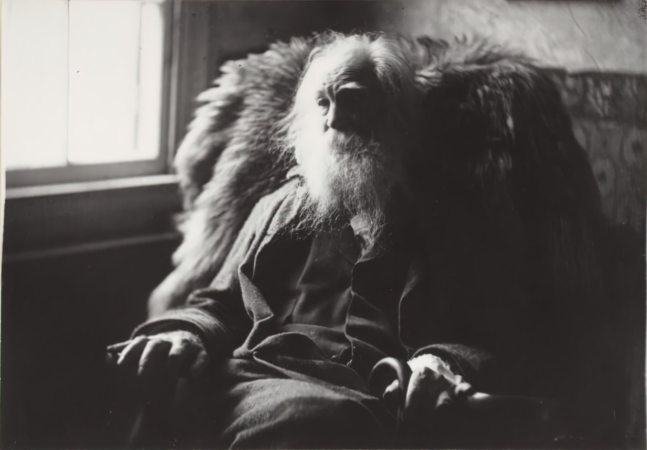 Walt Whitman in Camden, N.J. by Thomas Eakins