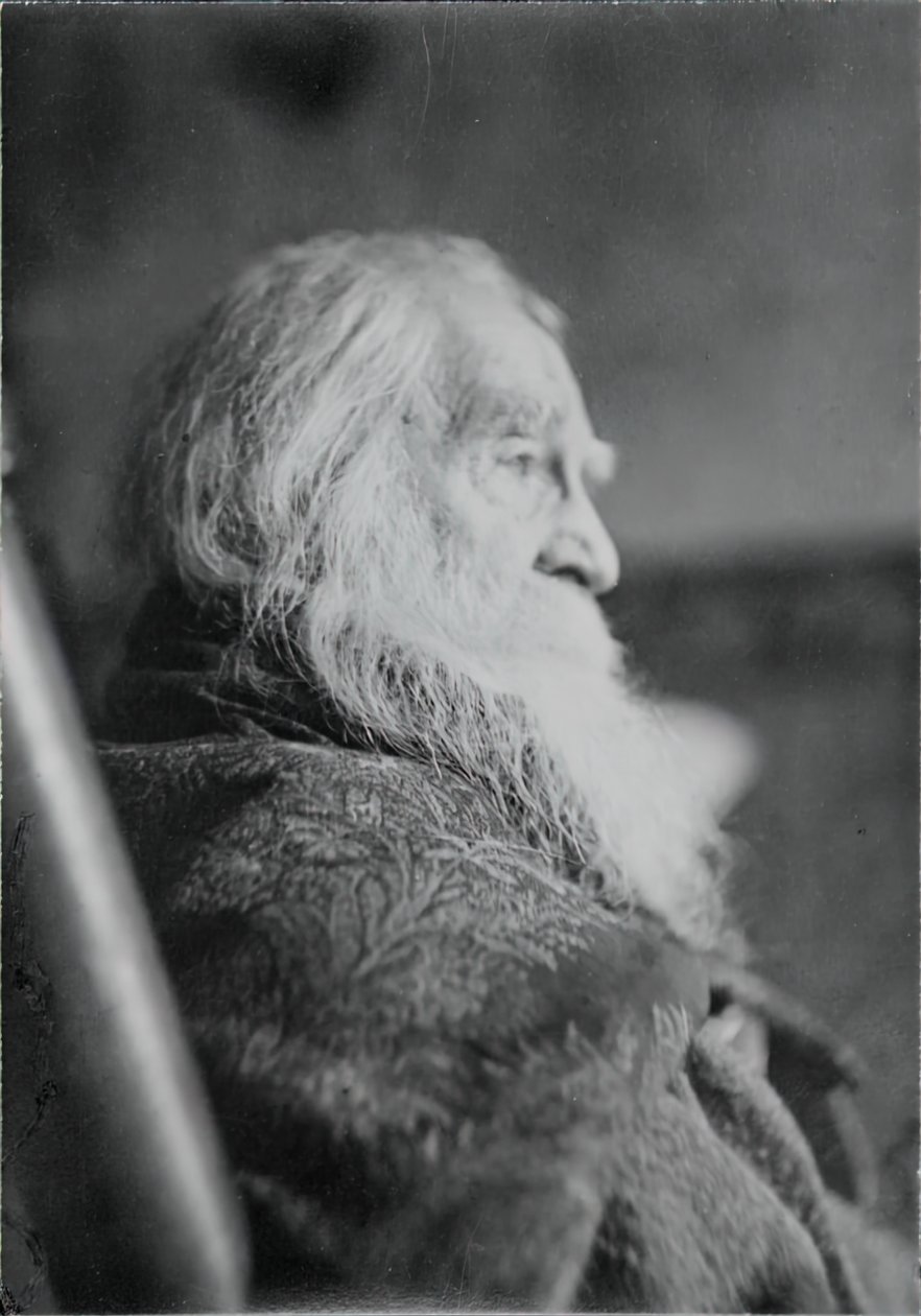 Walt Whitman in Camden, N.J. by Thomas Eakins