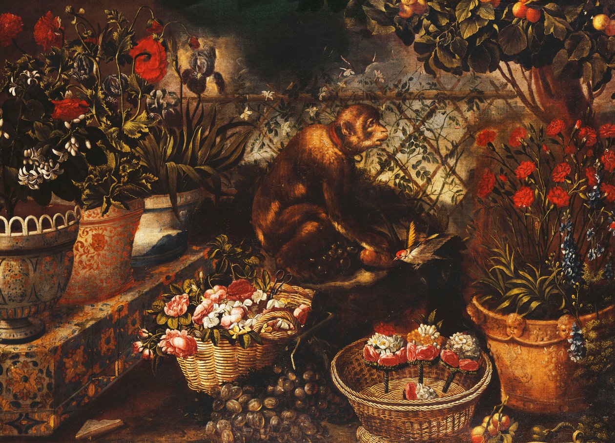A Monkey in a Fenced Garden by Thomas Hiepes