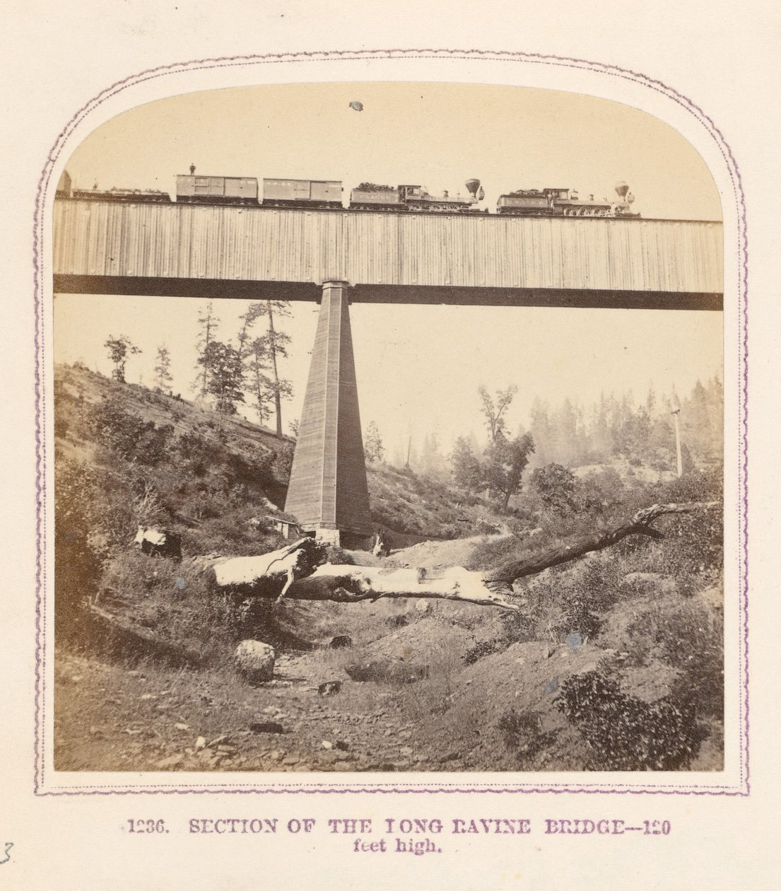 Section of the Long Ravine Bridge by Thomas Houseworth