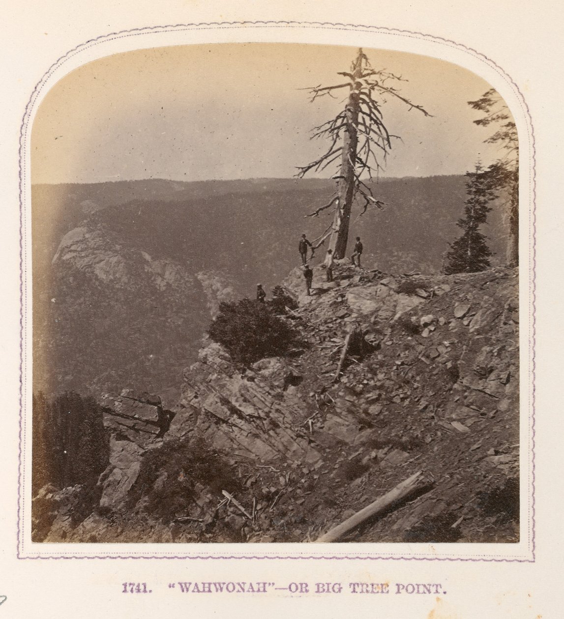 Wahwonah — Or Big Tree Point by Thomas Houseworth