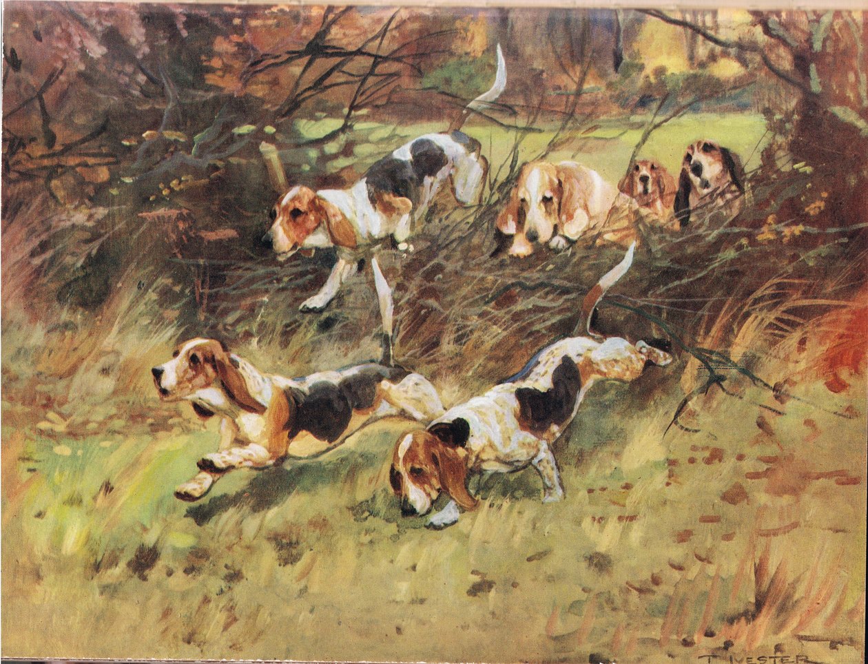 Through the Hedgerow, illustration from 