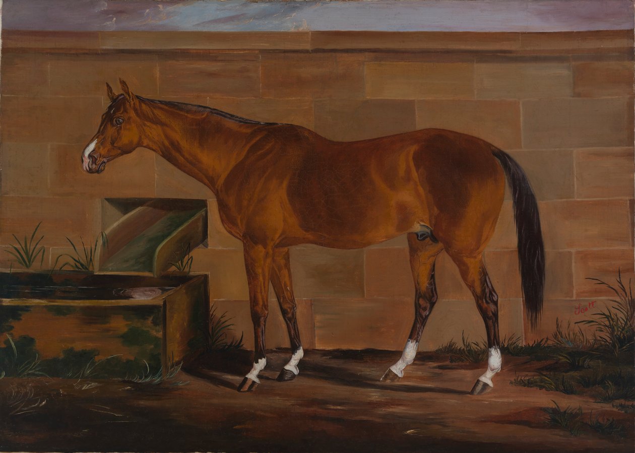 Portrait of Lexington, ca. 1857 by Thomas J. Scott