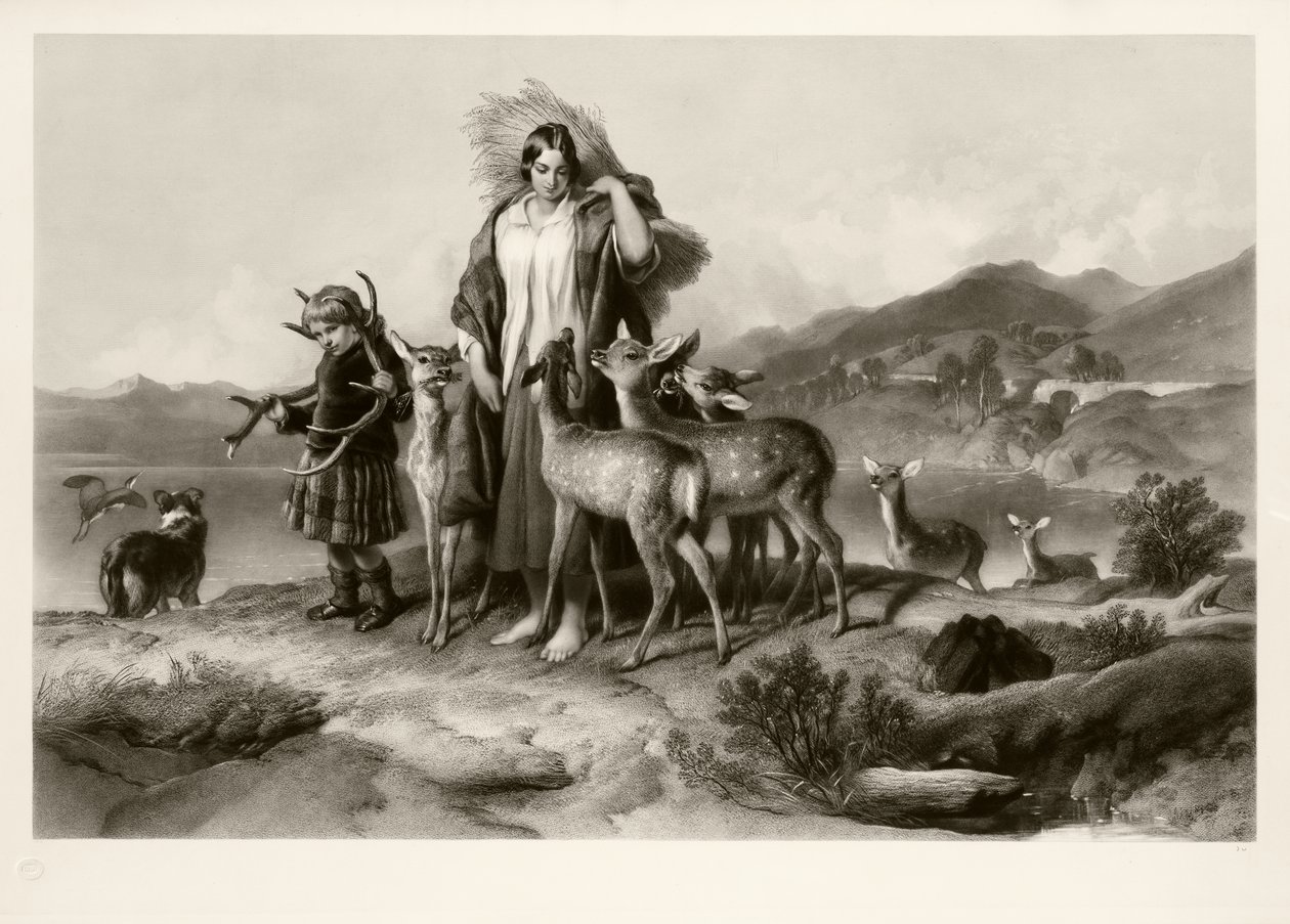 The Forester