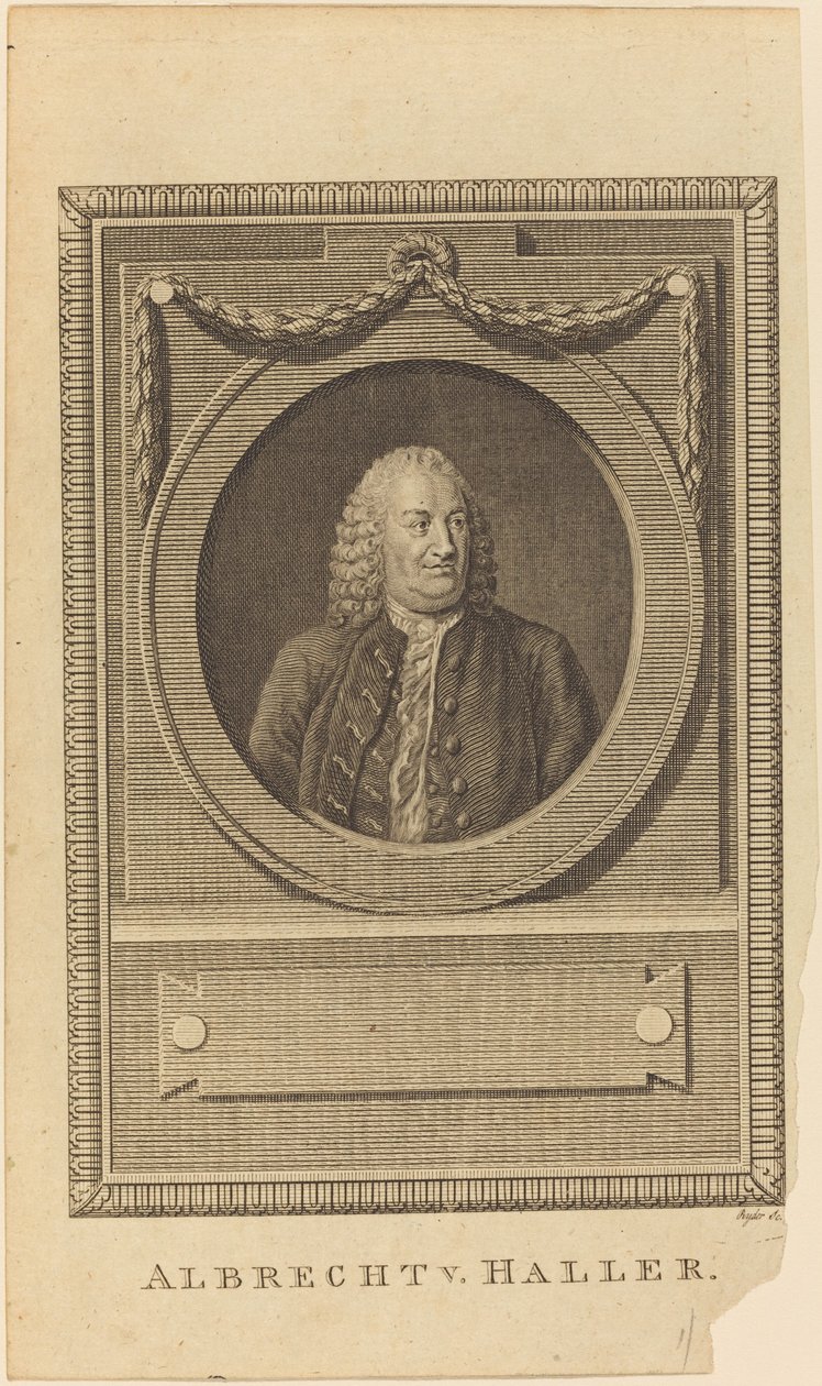 Albrecht V. Haller by Thomas Ryder