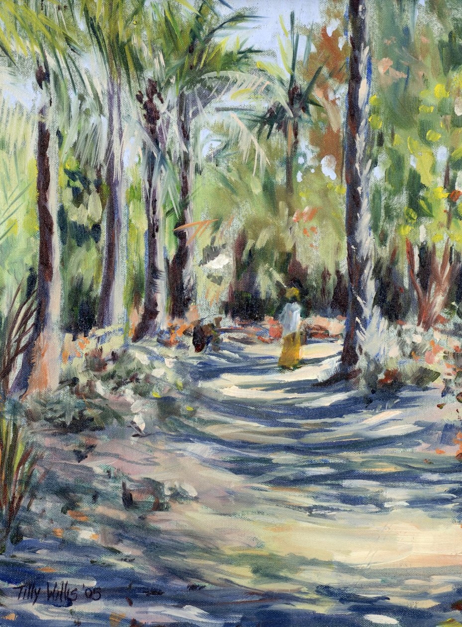 The Bush Road by Tilly Willis