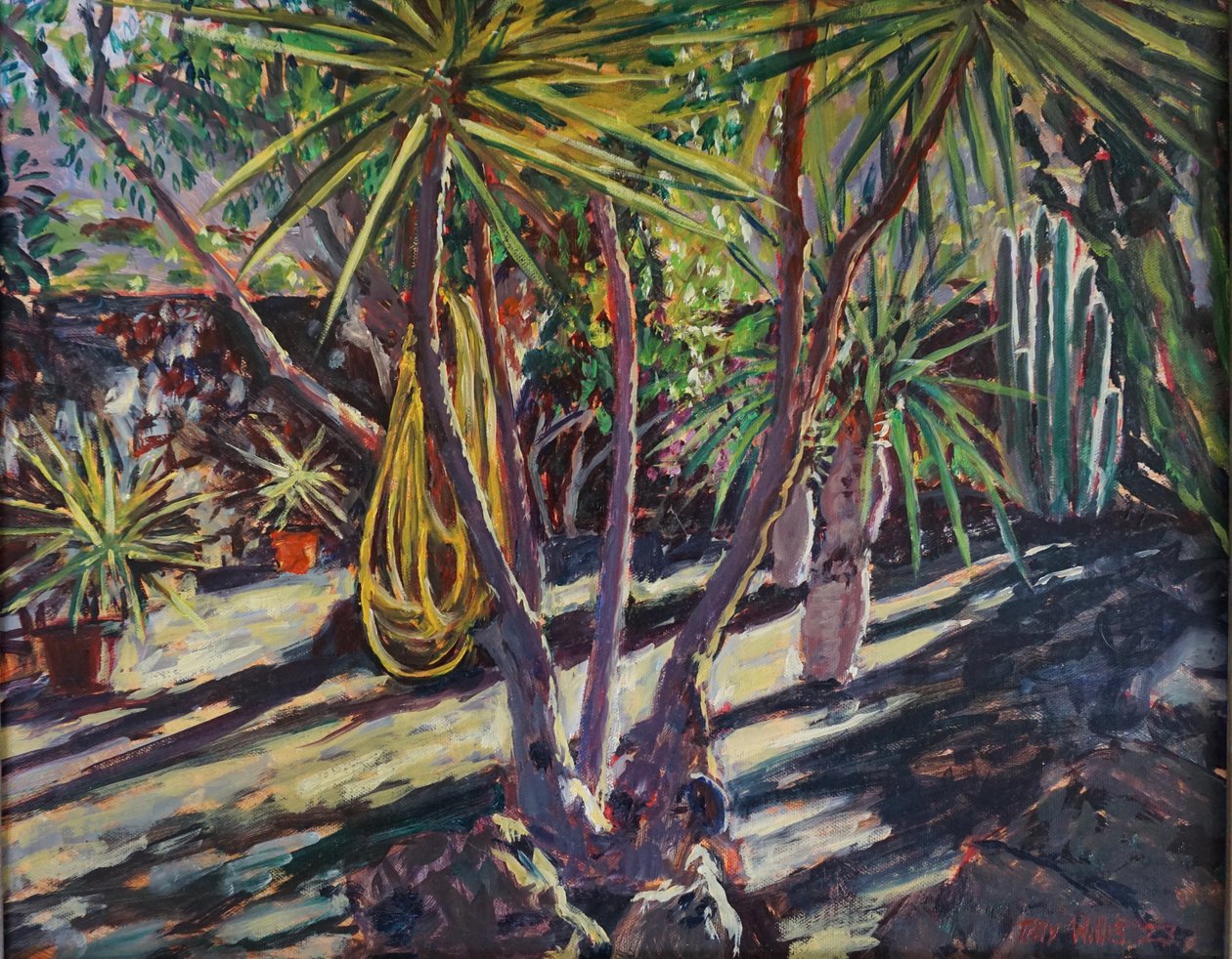 Spanish Cactus Garden by Tilly Willis