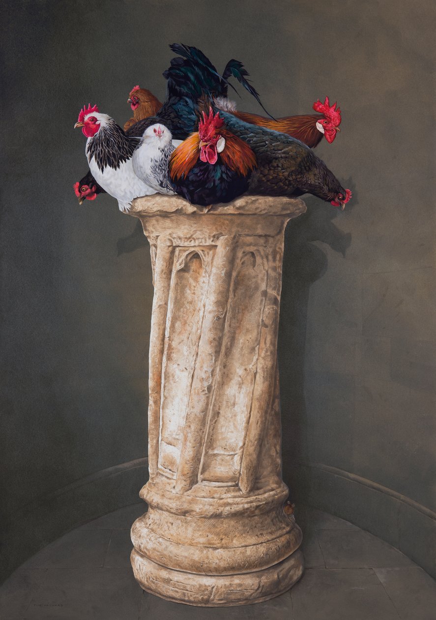 Hens, Eyes Down by Tim Hayward