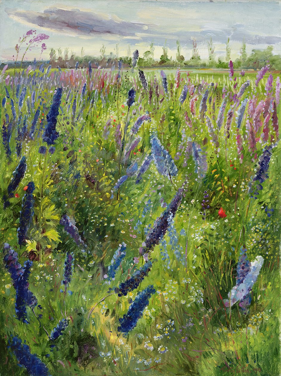 Delphiniums and Emerging Sun, 1991 by Timothy Easton