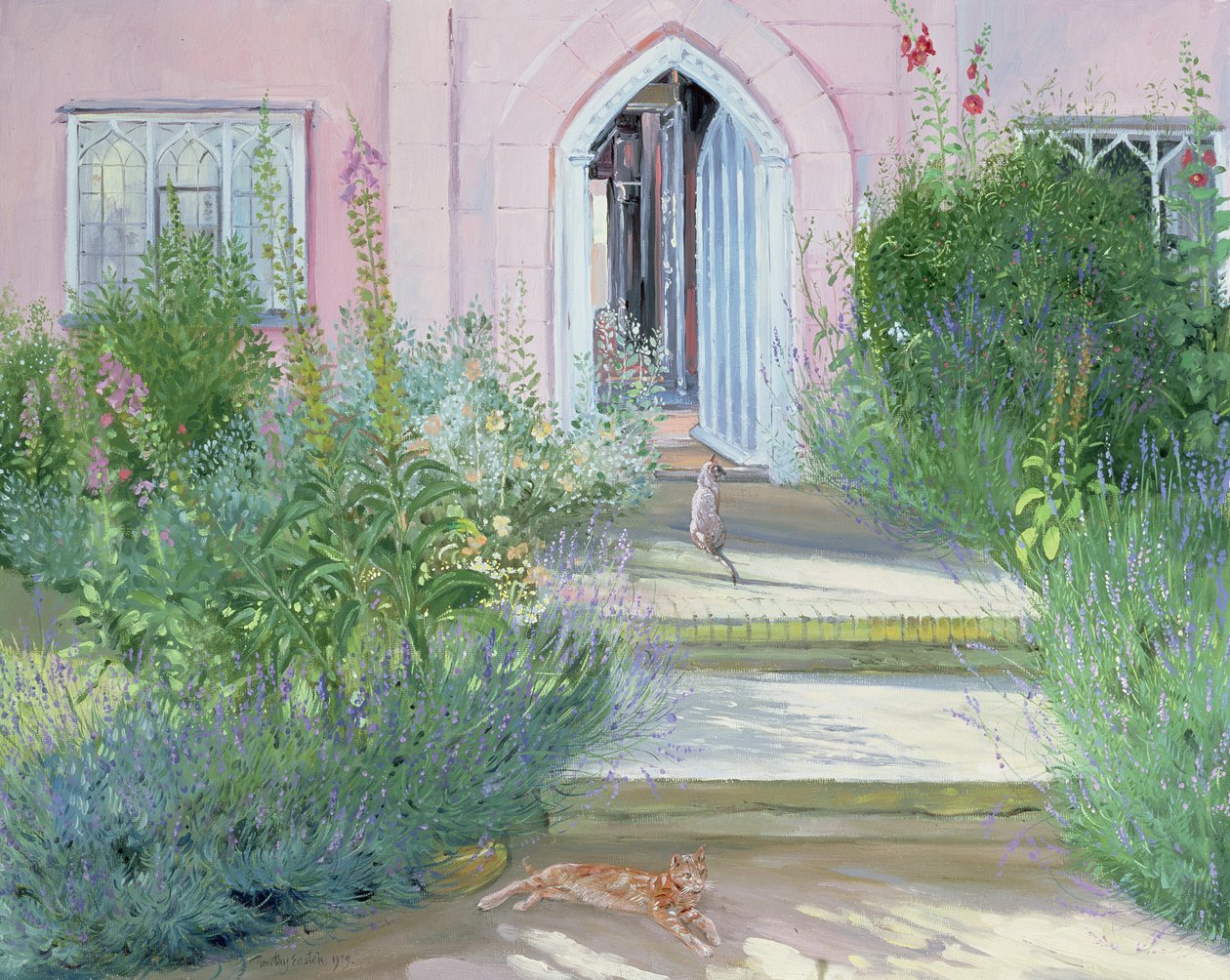 Evening Shadows by Timothy Easton