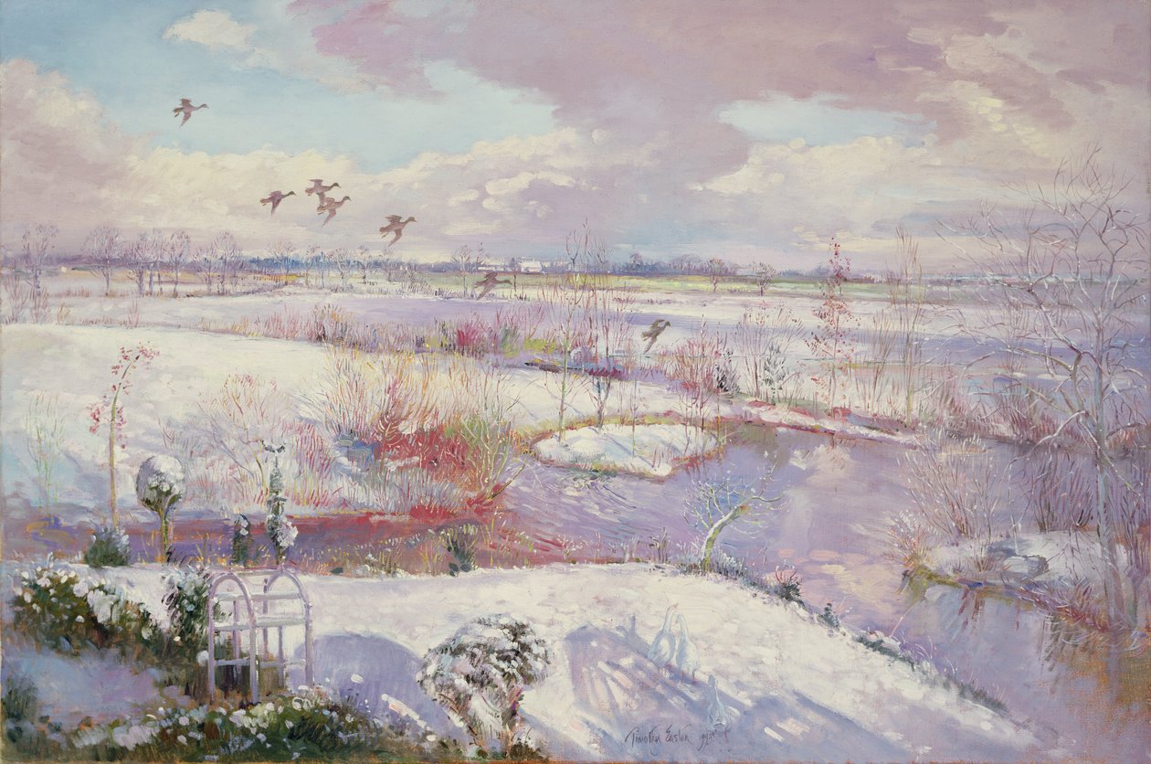 Flight Down, 1993 by Timothy Easton