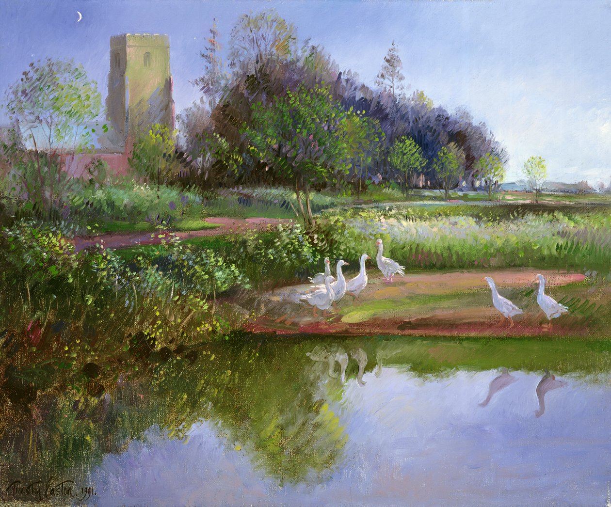 Geese at Sundown by Timothy Easton
