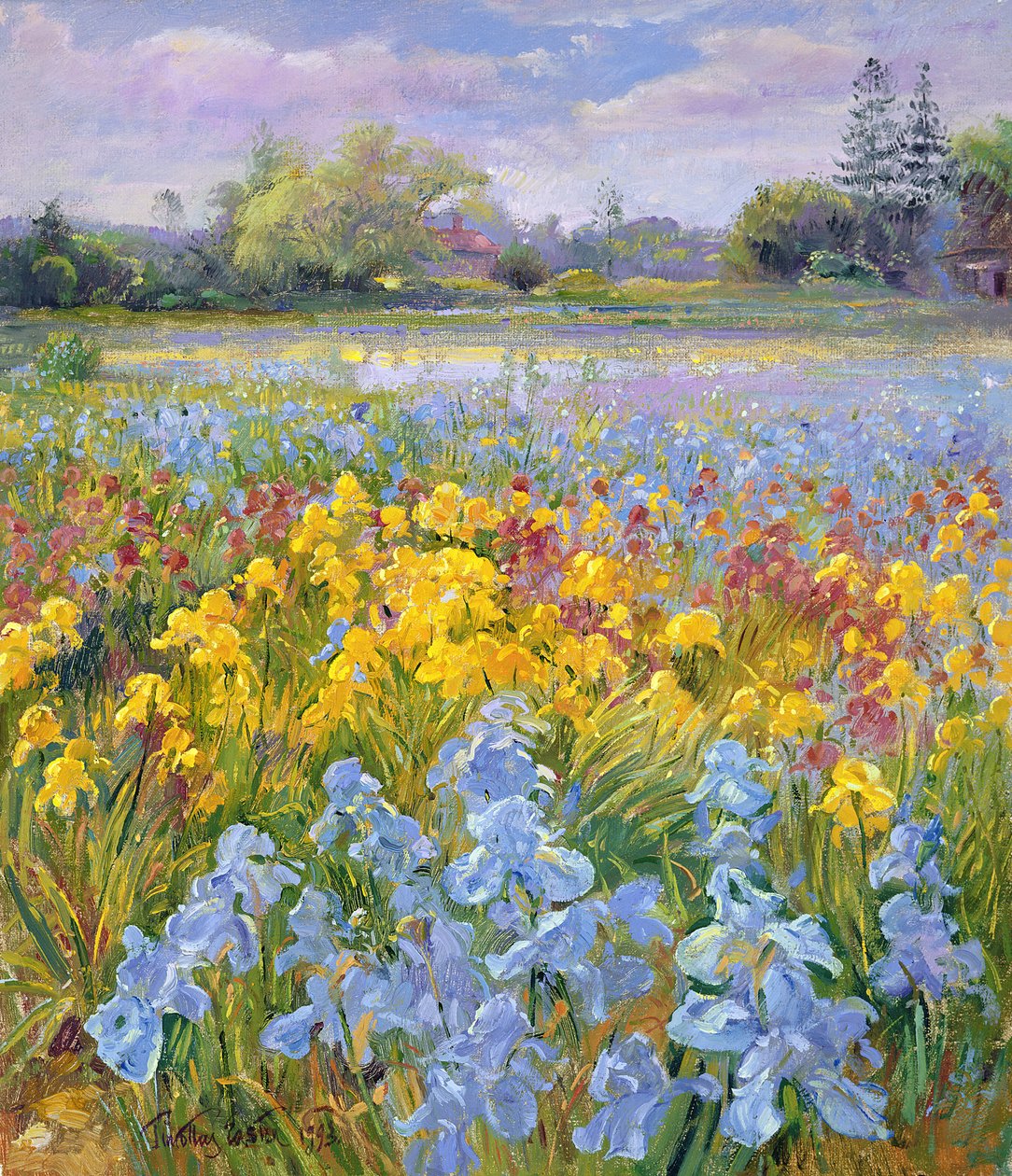 Irises, Willow and Fir Tree by Timothy Easton
