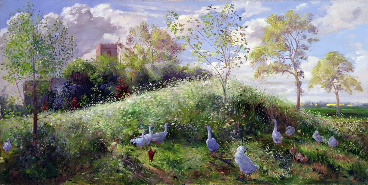 Mount in May by Timothy Easton