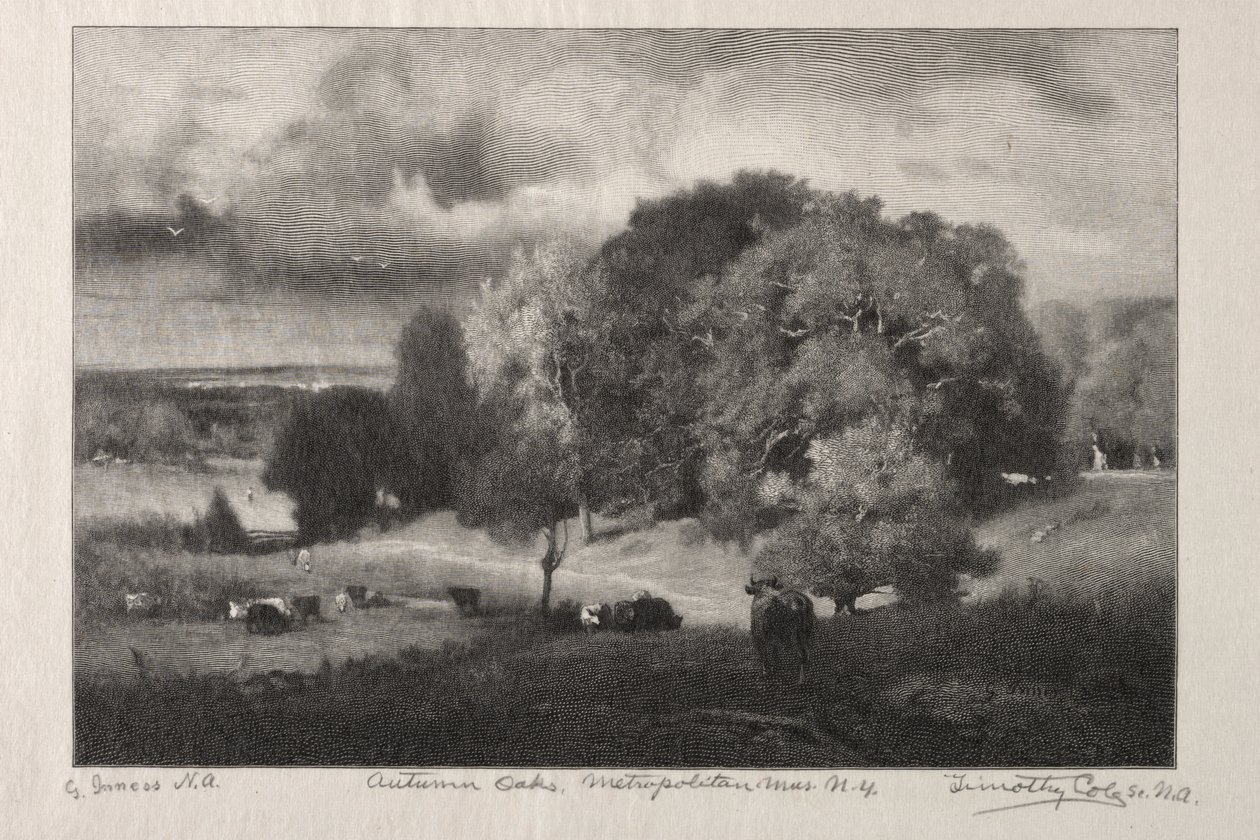 Autumn Oaks by Timothy Cole