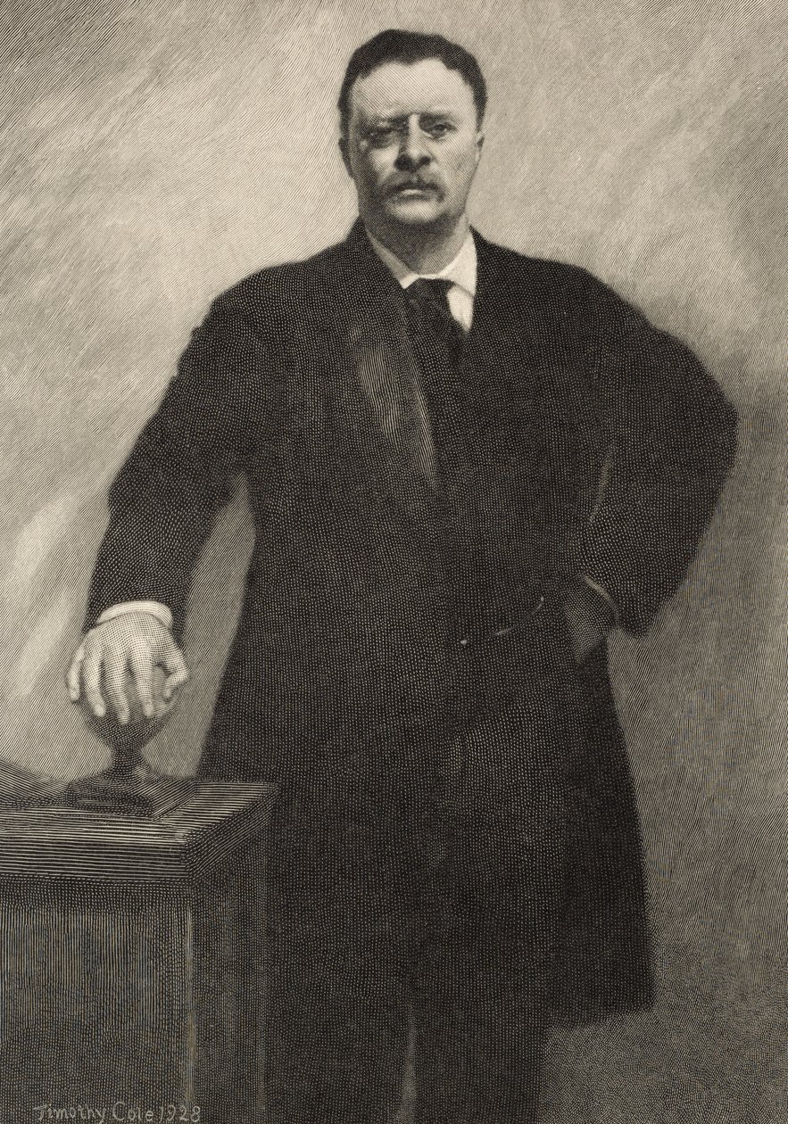 Theodore Roosevelt by Timothy Cole