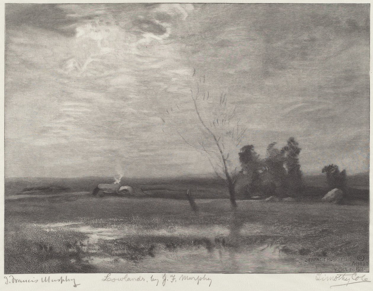 Lowlands by Timothy Cole after John Francis Murphy