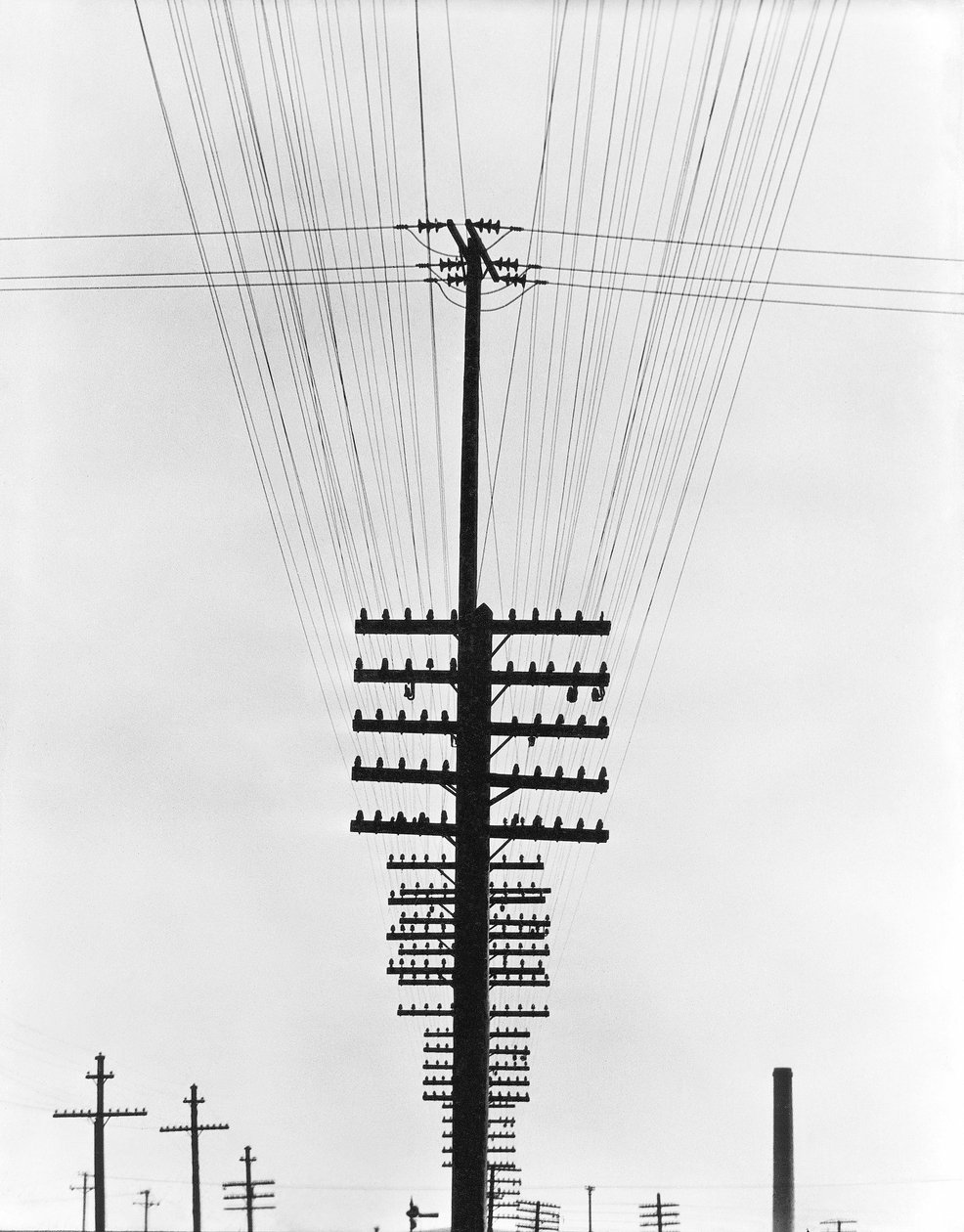 Telegraph Wires, Mexico by Tina Modotti