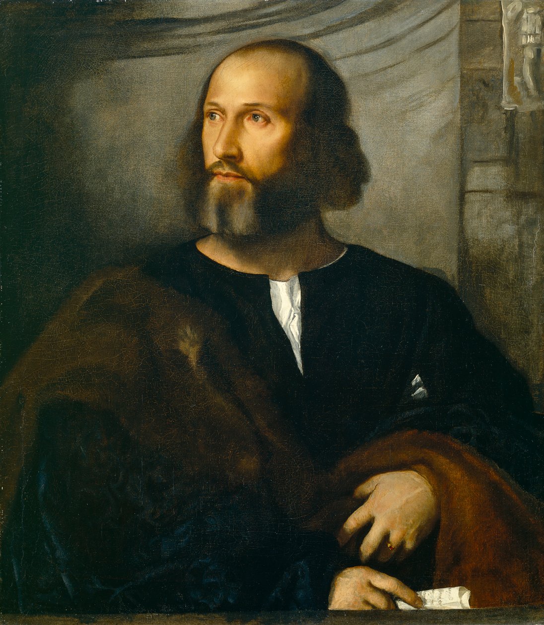 Portrait of a Bearded Man by Tiziano Vecelli
