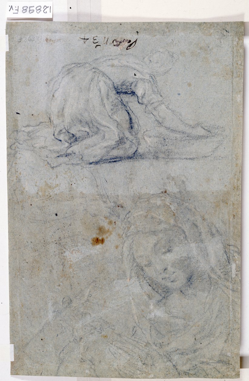 Studies of the Virgin by Titian (c.1488 1576)