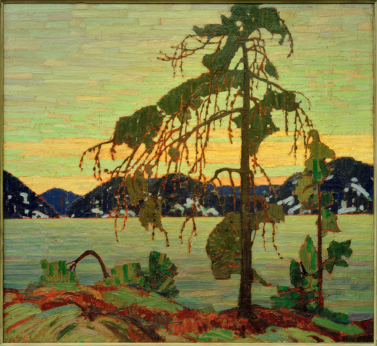 The Jack Pine by Tom Thomson