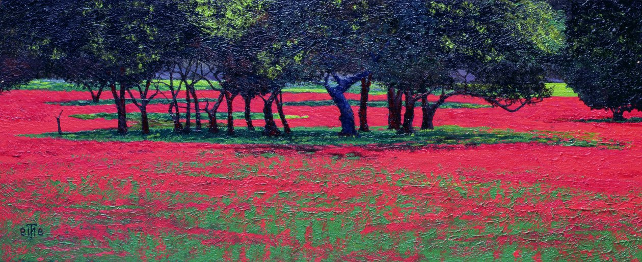 Red Shock by Trevor Neal
