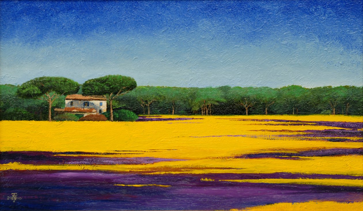 Tuscan Landscape, 2010 by Trevor Neal