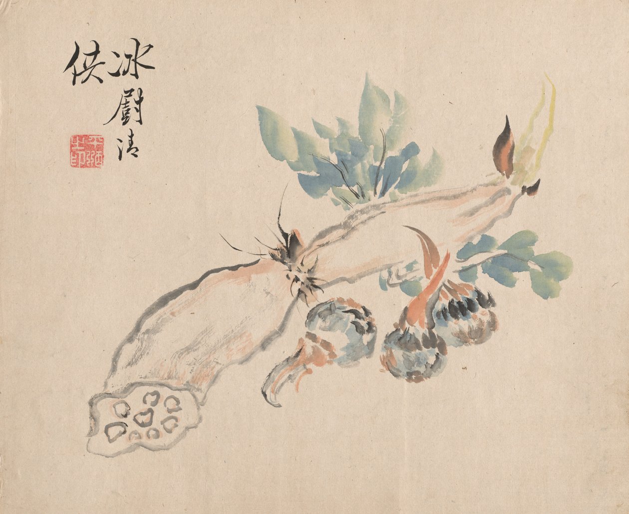 Lotus Root and Adder