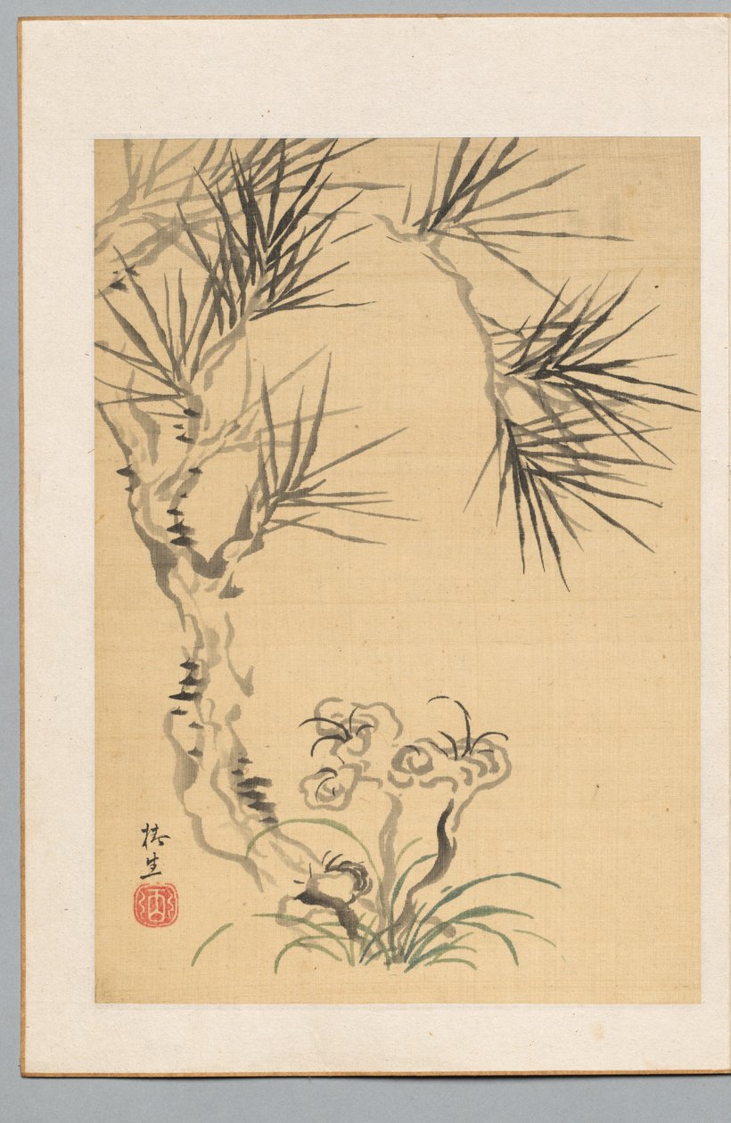 Pine Tree and Fungus, 19th century by Tsubaki Chinzan