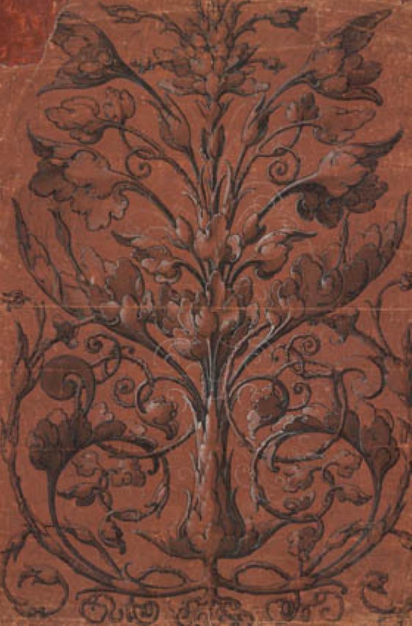 Symmetrical Plant Ornamentation by Ubekendt tysk 1520