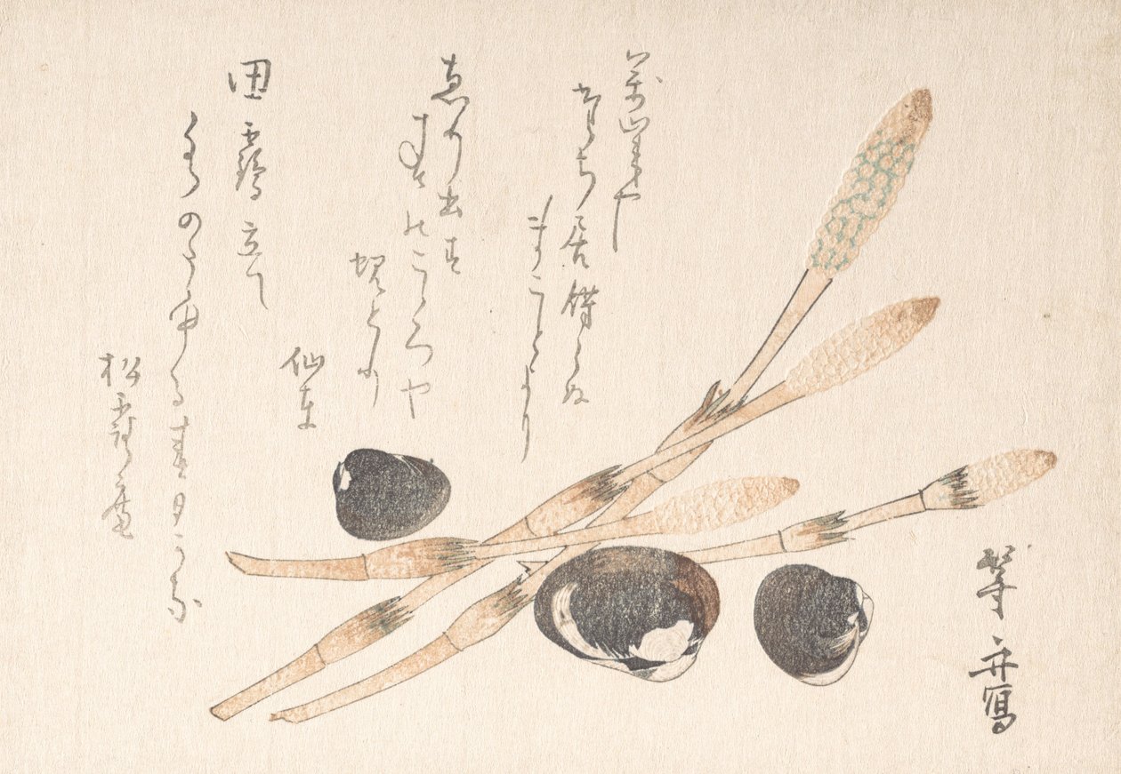 Tsukushi Plant and Shijimi Shells by Uematsu Toshu