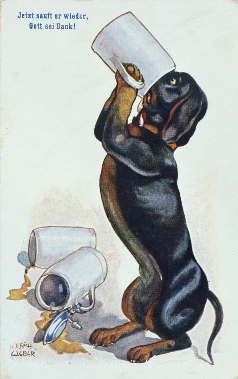 A Dachshund Drinking Beer by Ulrich Weber