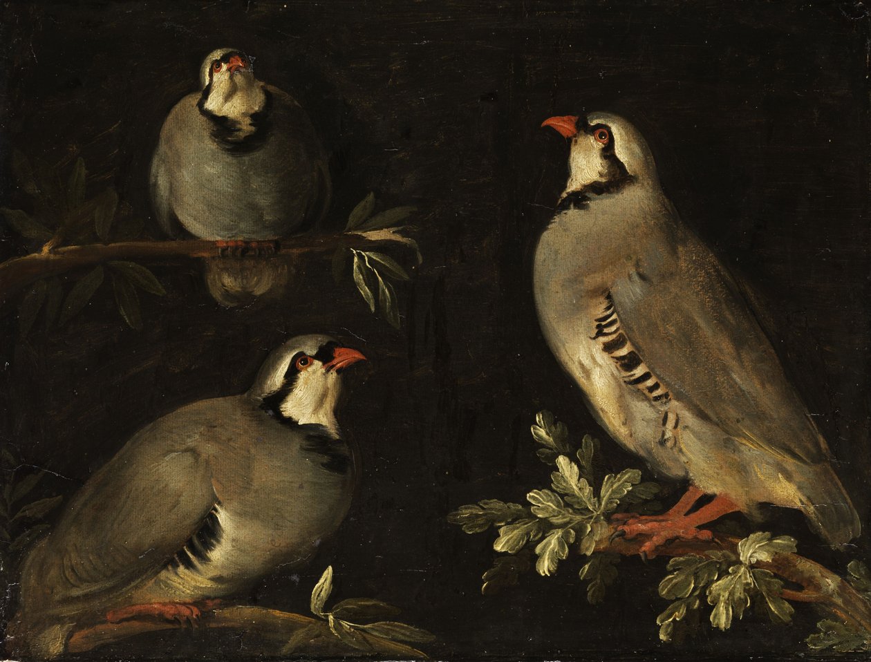 Three Doves on Branches by Unbekannt Unbekannt