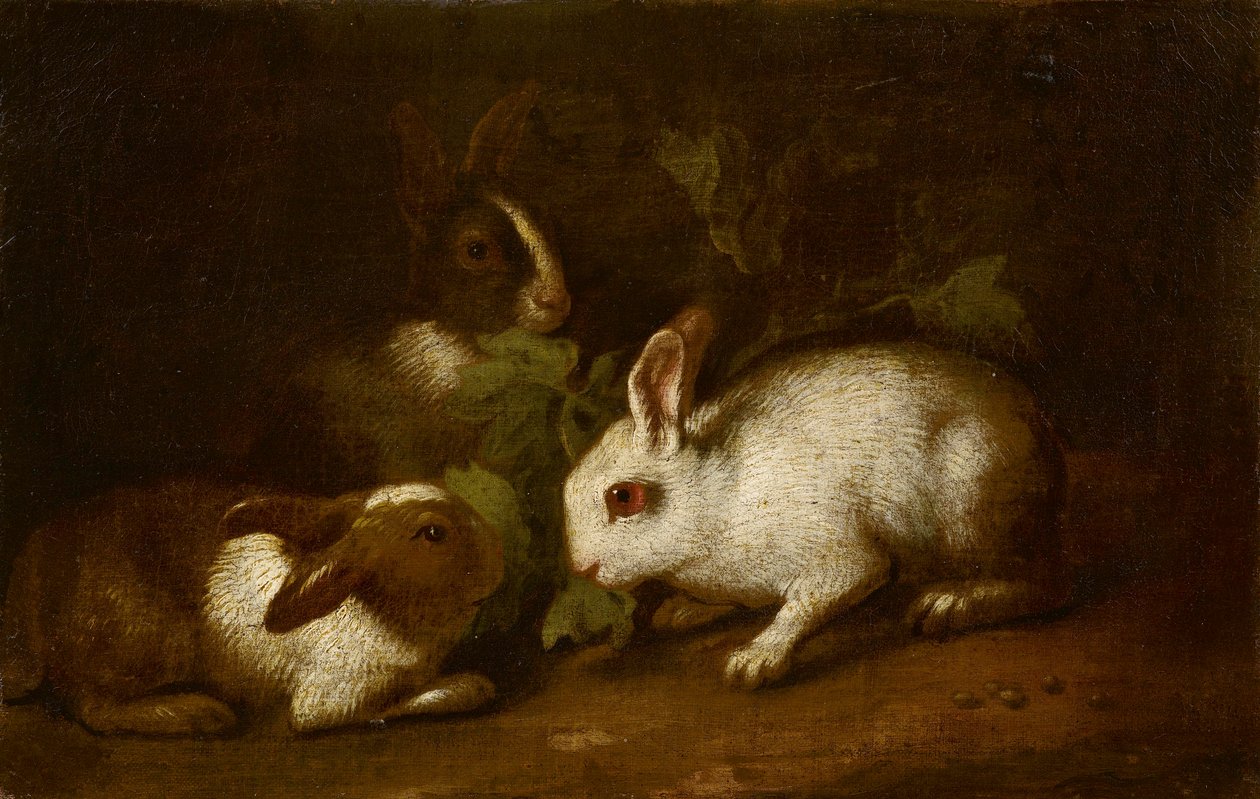 Hares in a Landscape, Genoese School by Unbekannt Unbekannt