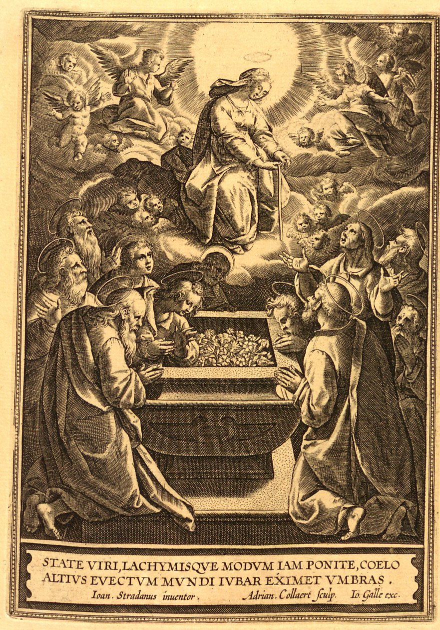 History of the New Testament - 1722 - (127) by Unbekannt Unbekannt