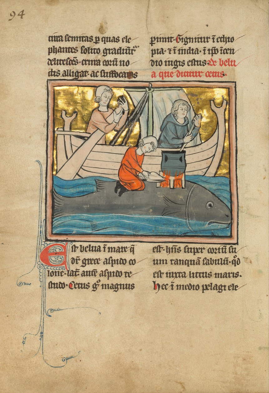 A Fisherman on the Back of a Whale by Unbekannt Unbekannt