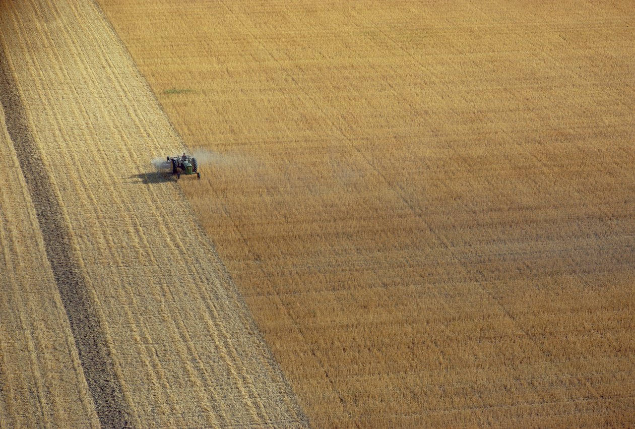 A Tractor Harvesting by Unbekannt Unbekannt