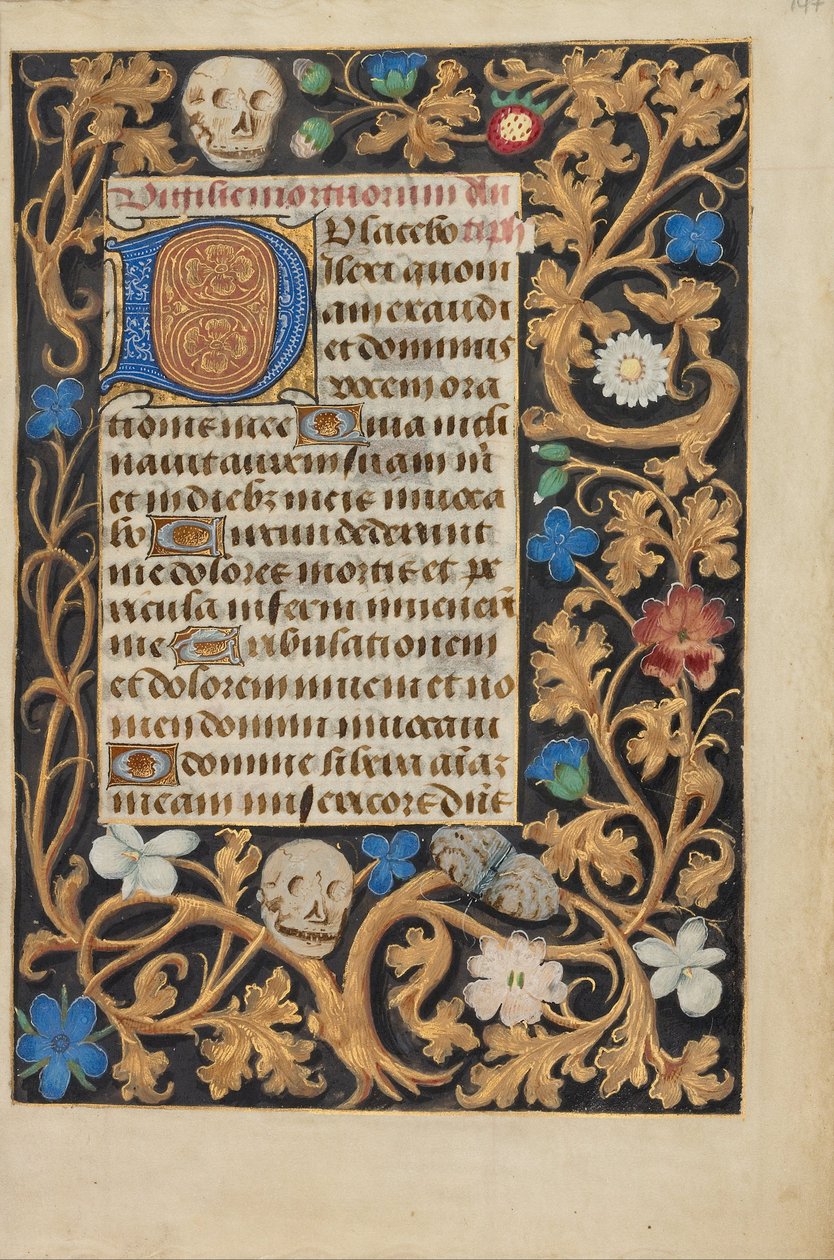 Decorated Initial D by Unbekannt Unbekannt