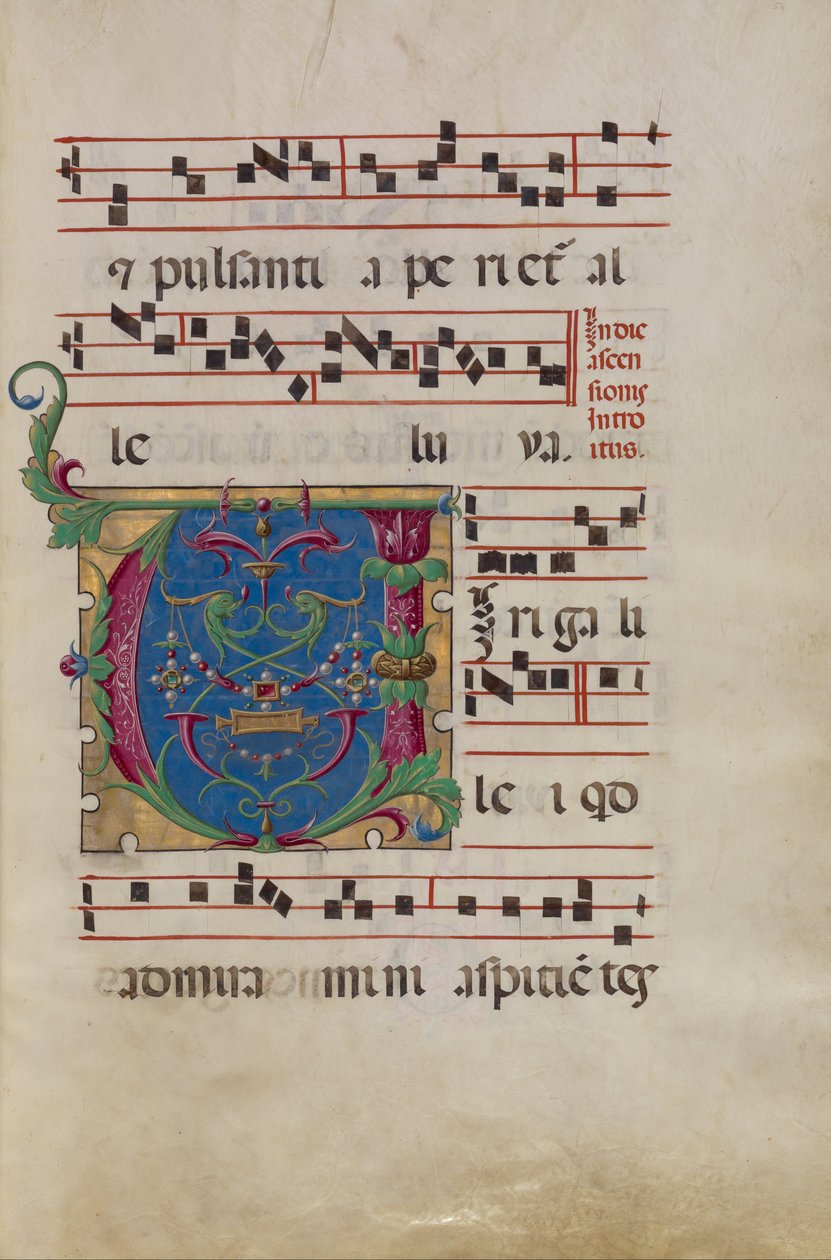Decorated Initial V by Unbekannt Unbekannt