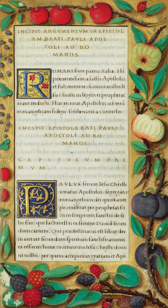 Decorated Text Page by Unbekannt Unbekannt