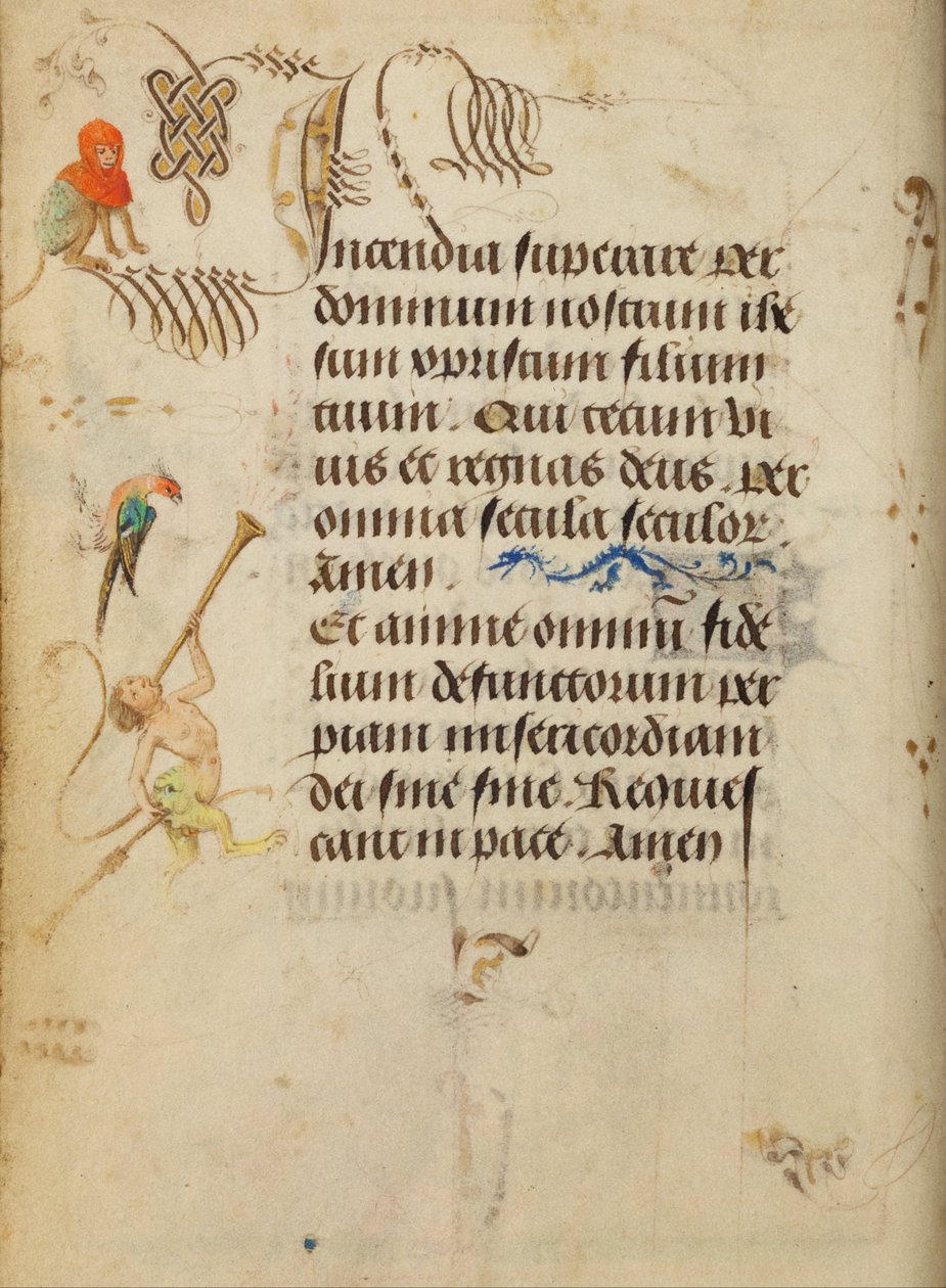 Decorated Text Page by Unbekannt Unbekannt