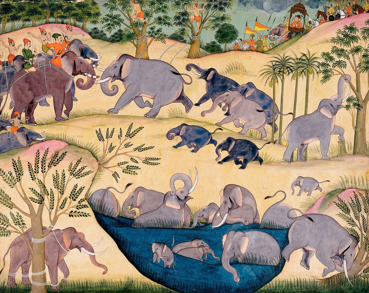 Elephant Hunt of Maharaja Anup Singh of Bikaner by Unbekannt Unbekannt