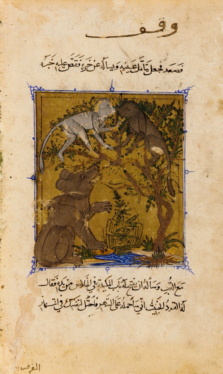 Folio from a Sulwan al-Muta (Solace of Pleasure) by Ibn Zafar; verso- The Tale of the Bear and the M... by Unbekannt Unbekannt
