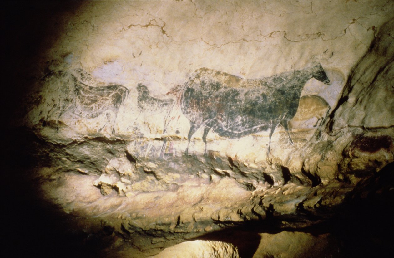 Rock painting of a black cow, c.17000 BC by Unbekannt Unbekannt