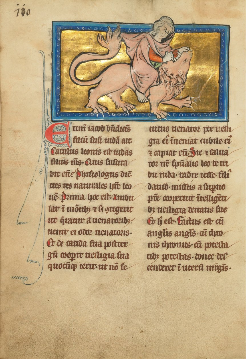 Samson Fighting a Lion by Unbekannt Unbekannt