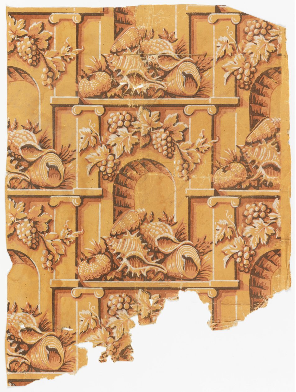 Shells in the Archway by Unbekannt Unbekannt