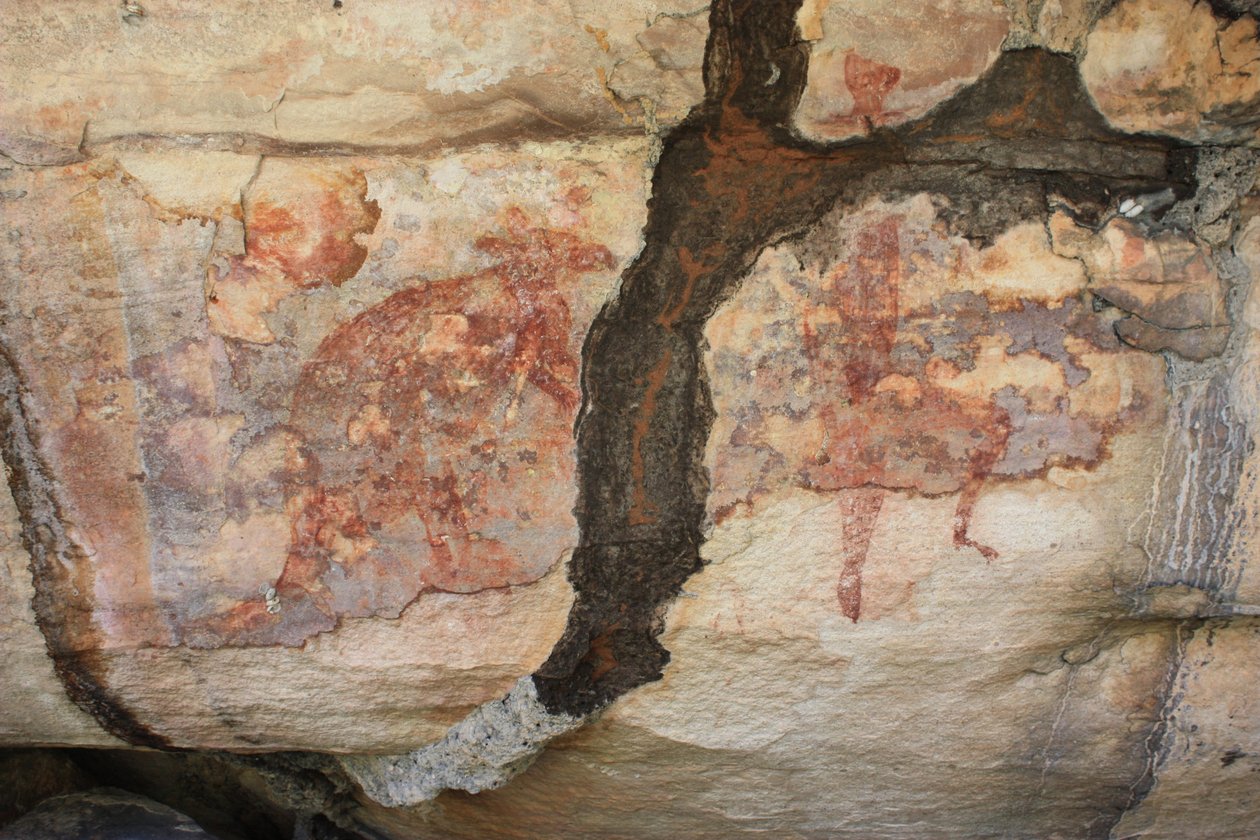 Termite Tunnel Over Red Wallaby and Goanna by Unbekannt Unbekannt